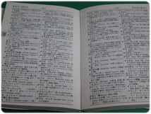 カタカナ新語辞典 OA語から風俗語まで 斎藤栄三郎 有紀書房/aa9259_画像4