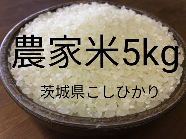 茨城産こしひかり5kg 全国送料無料です。