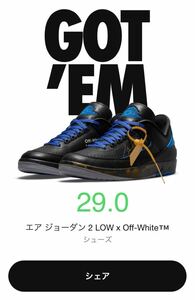 NIKE オフホワイト　エアジョーダン2