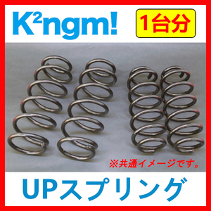 K2ngm! UPスプリング 1台分 C-HR NGX50 4WD K2-NGX50