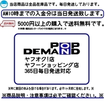 ◆送料200円◆汎用 LED対応 ICウインカーリレー ハイフラ防止 2ピン セピア セピア RS セピア ZZ チャンス チョイノリ_画像5