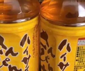 ♪ハイサイ沖縄さんぴん茶 525ml×24本
