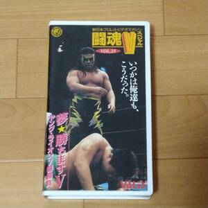 新日本プロレス　　闘魂Vスペシャル　　 25　　夢☆勝ちます　　ヤングライオン７番勝負