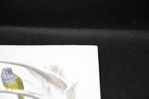 フランスアンティーク 博物画 『鳥類７　インコ　オウム　パンジー　チューリップ』 多色刷り石版画_画像4