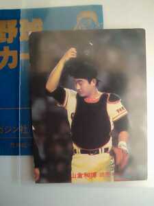 山倉和博　82 カルビープロ野球チップス　No.676 読売ジャイアンツ