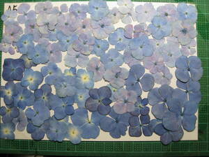 Искусственные цветки E-4 синий серия фиолетовый . цветок купить NAYAHOO.RU