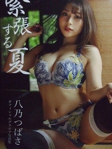 *..gla dollar arrow .... official gravure photoalbum <.. make summer > on te man do paper back version 