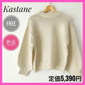 【新品未使用】Kastan カスタネ ニットセーター オフホワイト フリー タートルニット