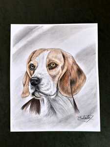 Art hand Auction Dibujo a lápiz de colores de un perro beagle, Obra de arte, Cuadro, Dibujo a lápiz, Dibujo al carbón