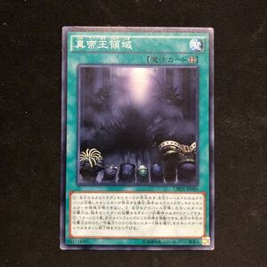 即決Σ中古品　遊戯王　真帝王領域　ノーマル