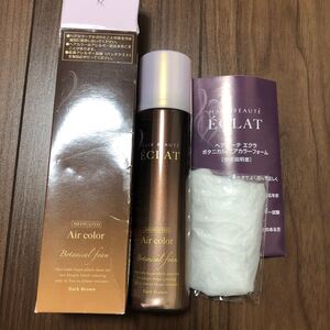 ヘアボーテ ヘアボーテ エクラ ボタニカル ヘアカラーファーム ヘアボーテエクラ ダークブラウン 150g エアカラー