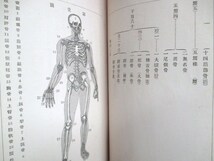 西洋医学◆佳氏・生理学◆明治２３初版本・銅版図入◆文明開化英学洋学解剖学解剖図譜御雇外国人教師札幌農学校和本古書_画像6