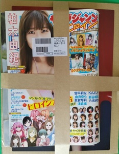 送料無料! えなこ【ヤングジャンプヒロイン】新品未開封 セブンネット限定特典:えなこクリアポスター付