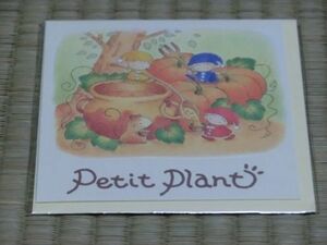 新品　メッセージカード　Petit Plant