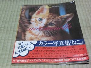 中古本　写真・西川治　豪華写真集ねこ