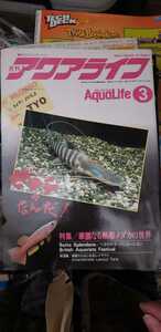  aqua life 1988 year 3 month [ control number akcpbook@1230] appreciation fish book