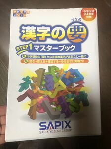 サピックス SAPIX 中学受験 漢字の要