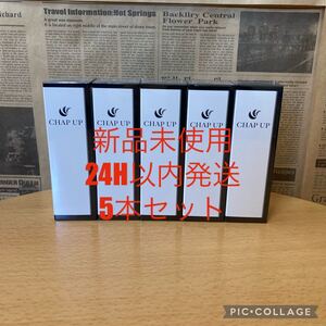 薬用 チャップアップ 育毛ローション 120ml 育毛剤 5本
