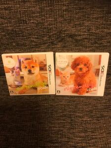 ニンテンドッグス+キャッツ 柴トイプードル