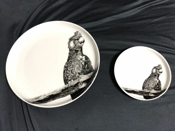 クロオウムのプレート　お皿　鳥　オウム　インコ