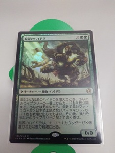 即決　MTG　foil　起源のハイドラ　まとめて取引歓迎です