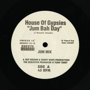 試聴 House Of Gypsies - Jum Bah Day [12inch] Freeze Records US 1994 House