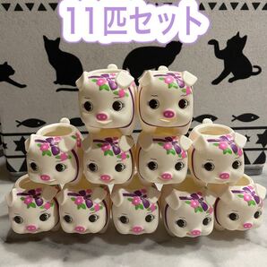 1号鉢カバー 花豚 こぶた 花ブータン 11匹セット