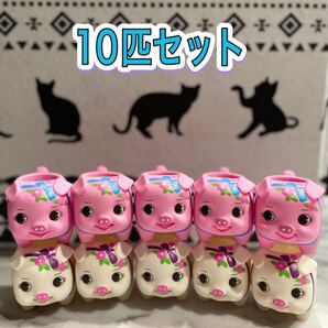 1号鉢カバー 花豚 こぶた 花ブータン 10匹セット