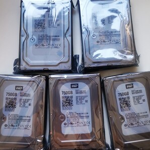 新品/未開封【5枚セット】Western Digital HDD WD7500AZEX 750GB(WD 3.5インチ)