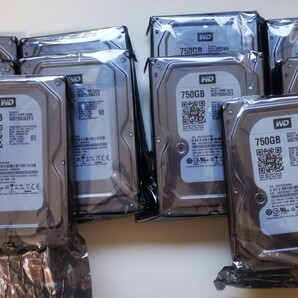 新品/未開封【10枚セット】Western Digital HDD WD7500AZEX 750GB(WD 3.5インチ)