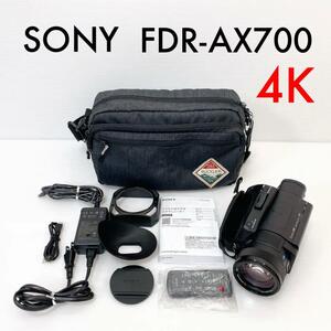 SONY ソニー 4K ビデオカメラ Handycam FDR-AX700 Handycam ハンディーカム カメラバッグ付