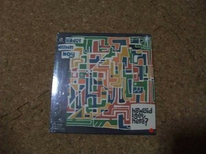 [CD][送料無料] サ盤 BADLY DRAWN BOY How Did Get Here　サ盤　シュリンク残り 国内盤