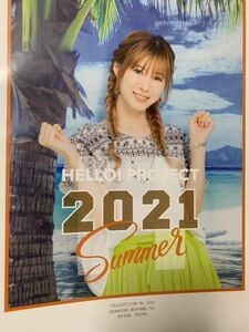 【生田衣梨奈・2】コレクションピンナップポスター ピンポス Hello! Project Hello! 2021 Summer Sapphire & Ruby