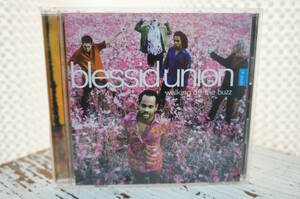 blessid union of souls「walking off the buzz」