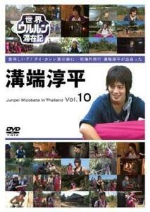 世界ウルルン滞在記 10 溝端淳平 レンタル落ち 中古 DVD 東宝