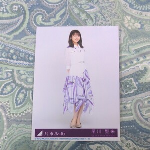 乃木坂46 生写真