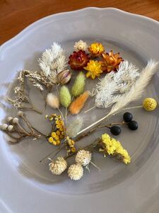 ドライフラワー 詰め合わせ