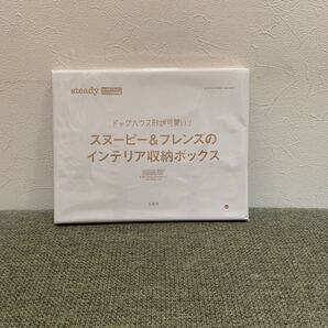 steady 付録 スヌーピー&フレンズのインテリア収納ボックス