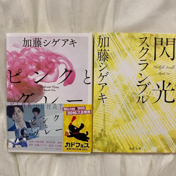 加藤シゲアキ　小説『ピンクとグレー』『閃光スクランブル』