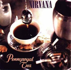 試聴あり★同梱可★Nirvana - Pennyroyal Tea [7”]オルタナグランジ