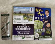 山本漢方 大麦若葉粉末100% 40包　抹茶風味のおいしい青汁_画像4