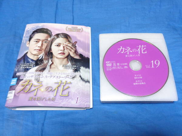 カネの花 愛を閉ざした男 DVD全19巻/チャン・ヒョク/ パク・セヨン/ チャン・スンジョ/ ハン・ソヒ (ケースなし)