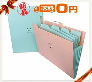 ★送料無料★色ピンク ミント Shinkito ファイルフォルダ A4 5仕切り ドキュメントファイル 2本セット 名前ラベル16