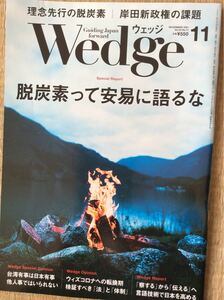 ウェッジ 2021年11月号 脱炭素って安易に語るな