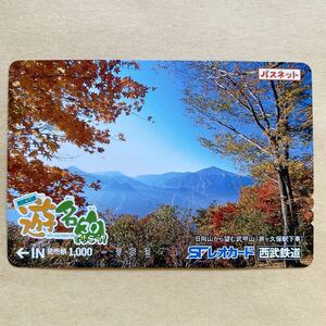 【使用済】 パスネット 西武鉄道 遊名30を歩こう! 日向山から望む武甲山
