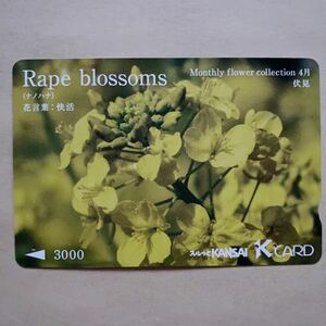 【使用済】 スルッとKANSAI 京阪電鉄 京阪電車 菜の花