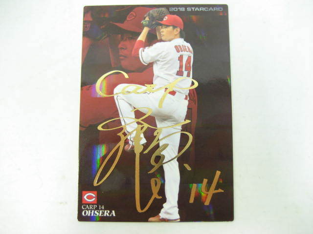 希少　レア 広島東洋カープ　鈴木　菊池　大瀬良　他 選手　直筆サイン　パネル 希少 レア 広島東洋カープ 鈴木 菊池 大瀬良 他 選手 直筆サイン