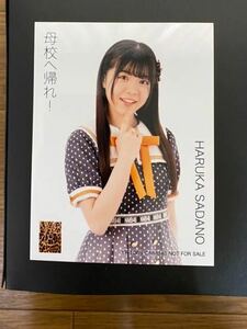 NMB48 貞野遥香 写真 CD特典 母校へ帰れ！ ややキズ有り