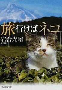  prompt decision! rock . light .[ travel .. cat ] Shincho Bunko 2005 year the first version street. cat,.. cat... cat ..... is now day ...[ out of print library ] including in a package welcome!