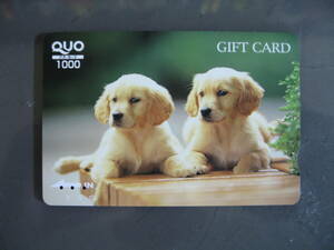 使用済みQUOカード1枚　2匹子犬